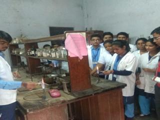 Laboratory activity Laboratory activity