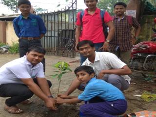 বৃক্ষরোপণ বৃক্ষরোপণ